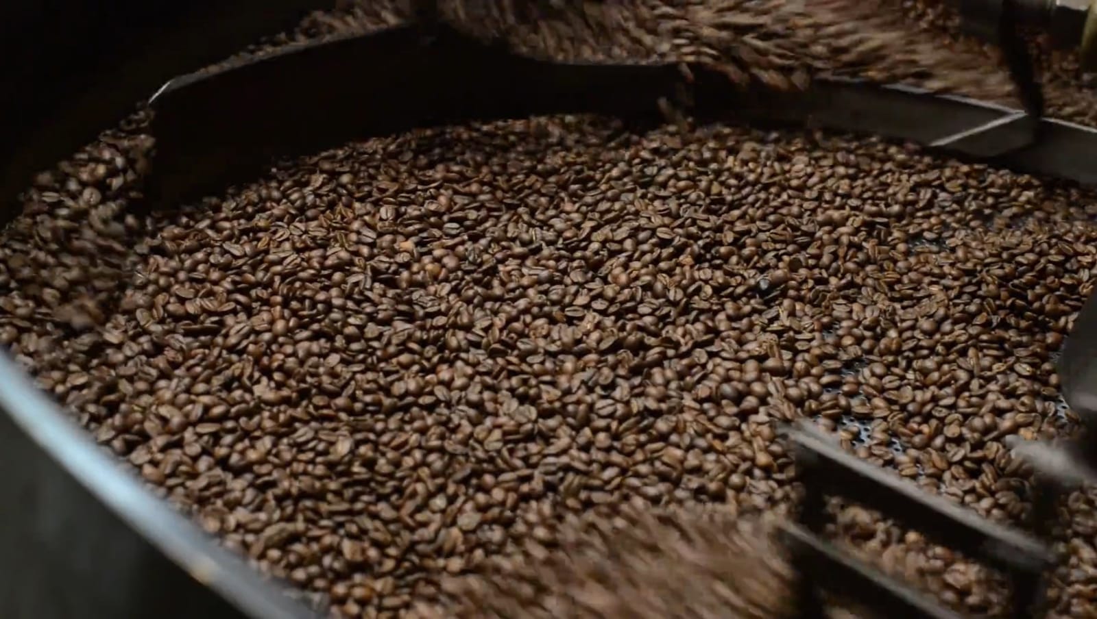House of Coffee Beans photo 2