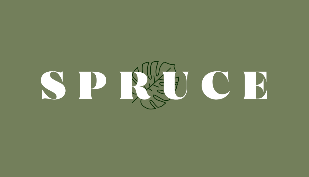 Spruce photo 2