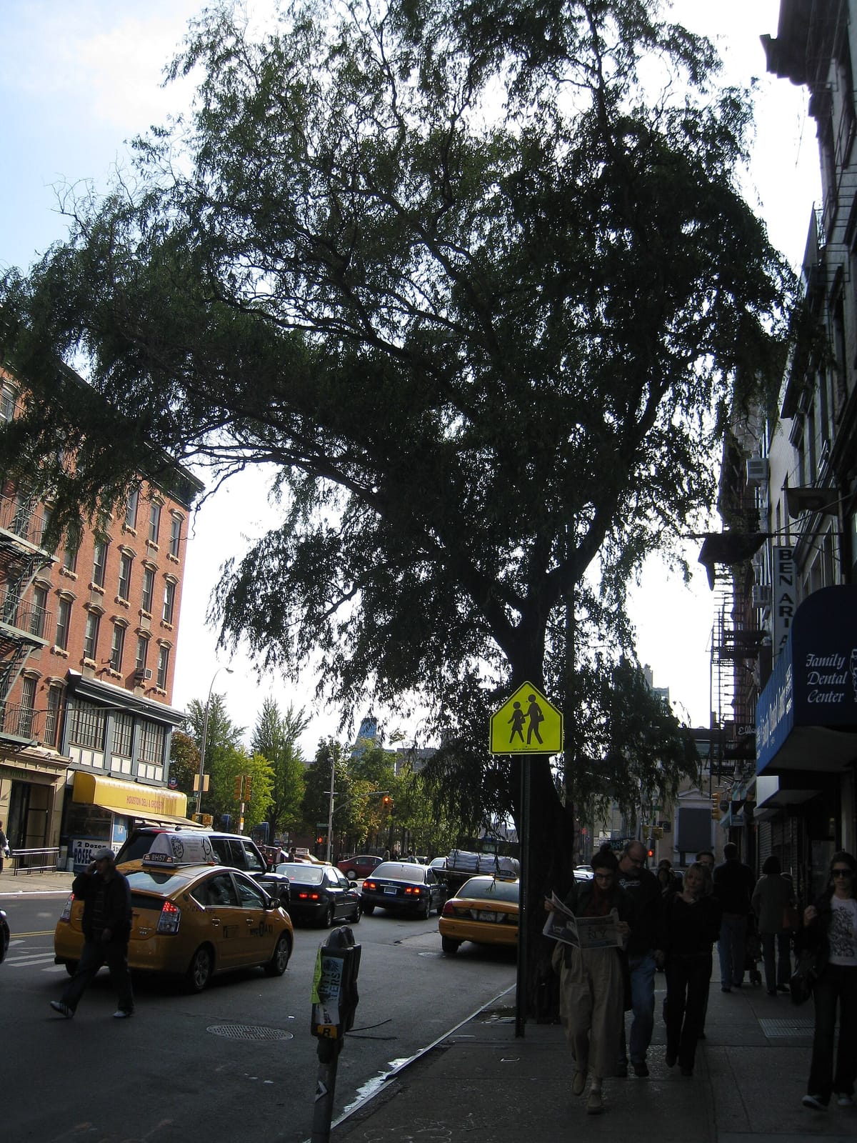 A’more Caffe & Matcha - East Village photo 5