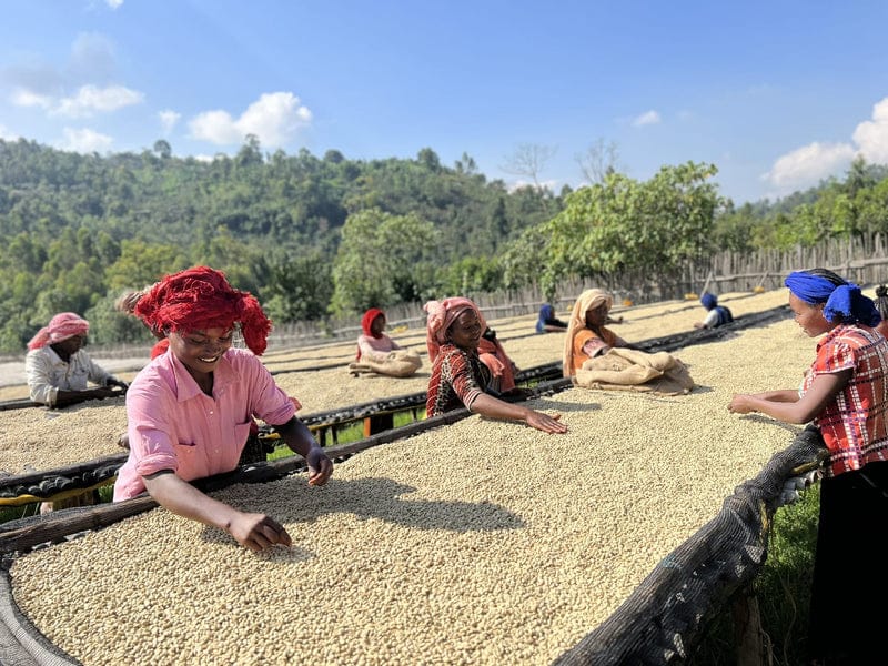 Bird Rock Coffee Roasters photo 8