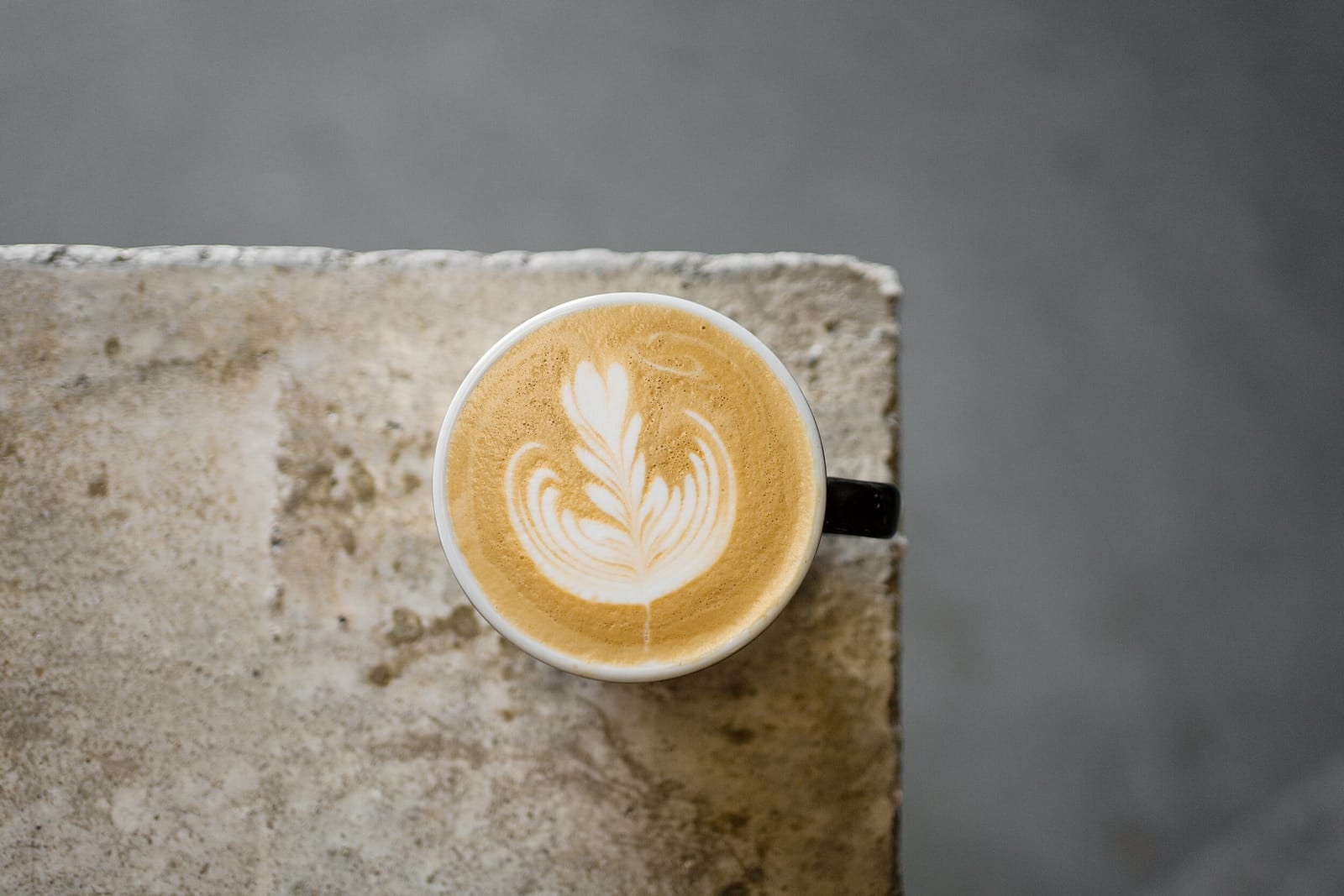 Midnight Animal Coffee photo 3