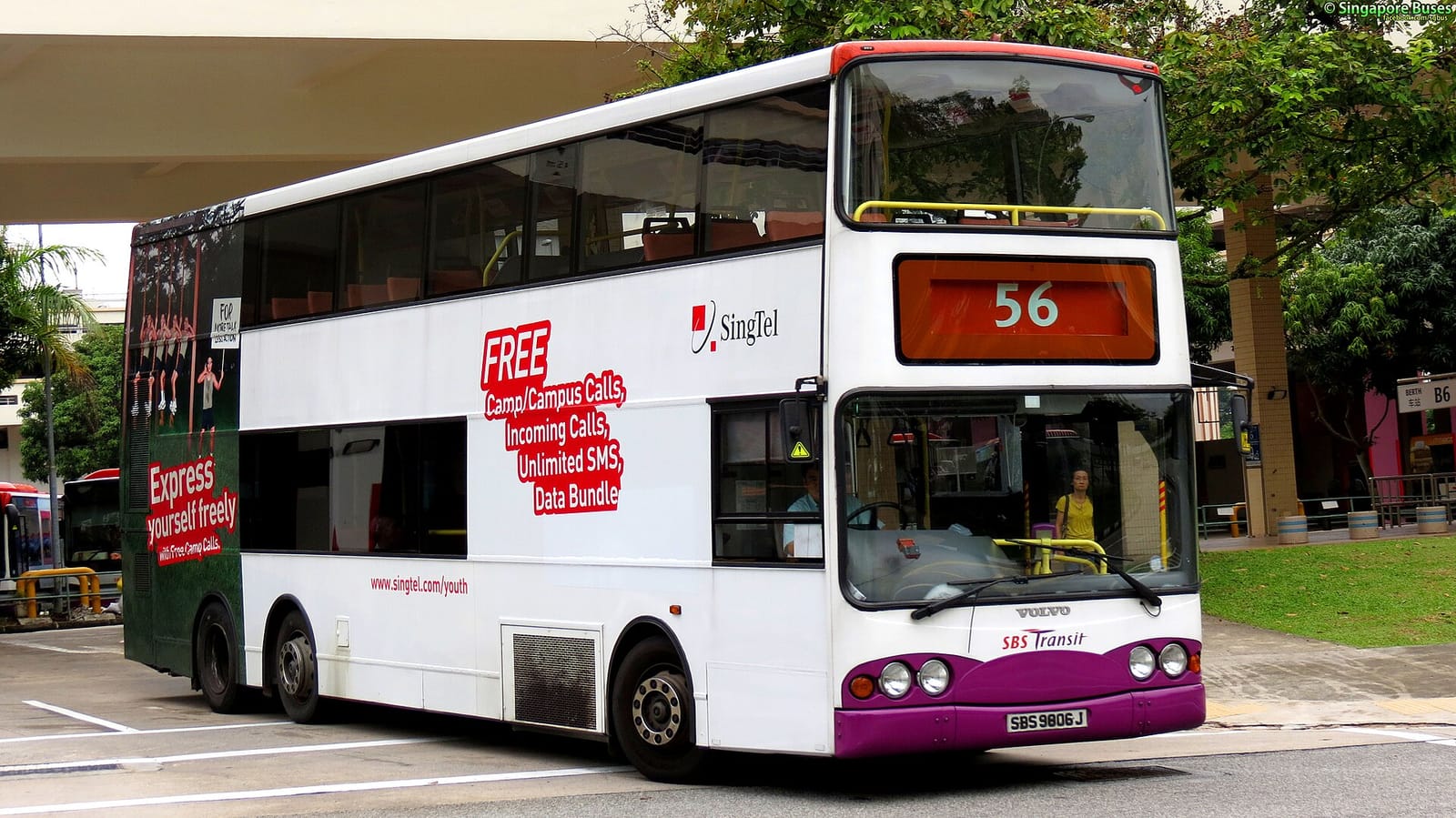 Basil King (Bishan) photo 5