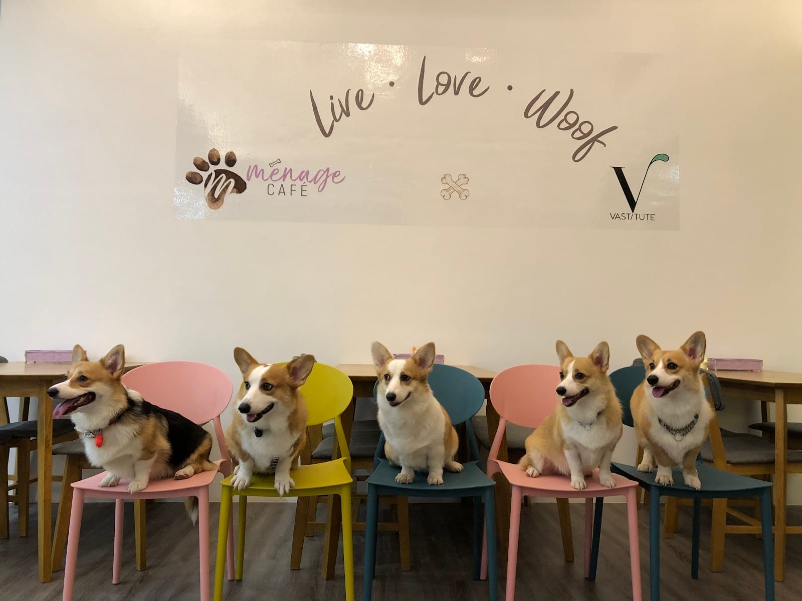 Menage Cafe - Pet Friendly