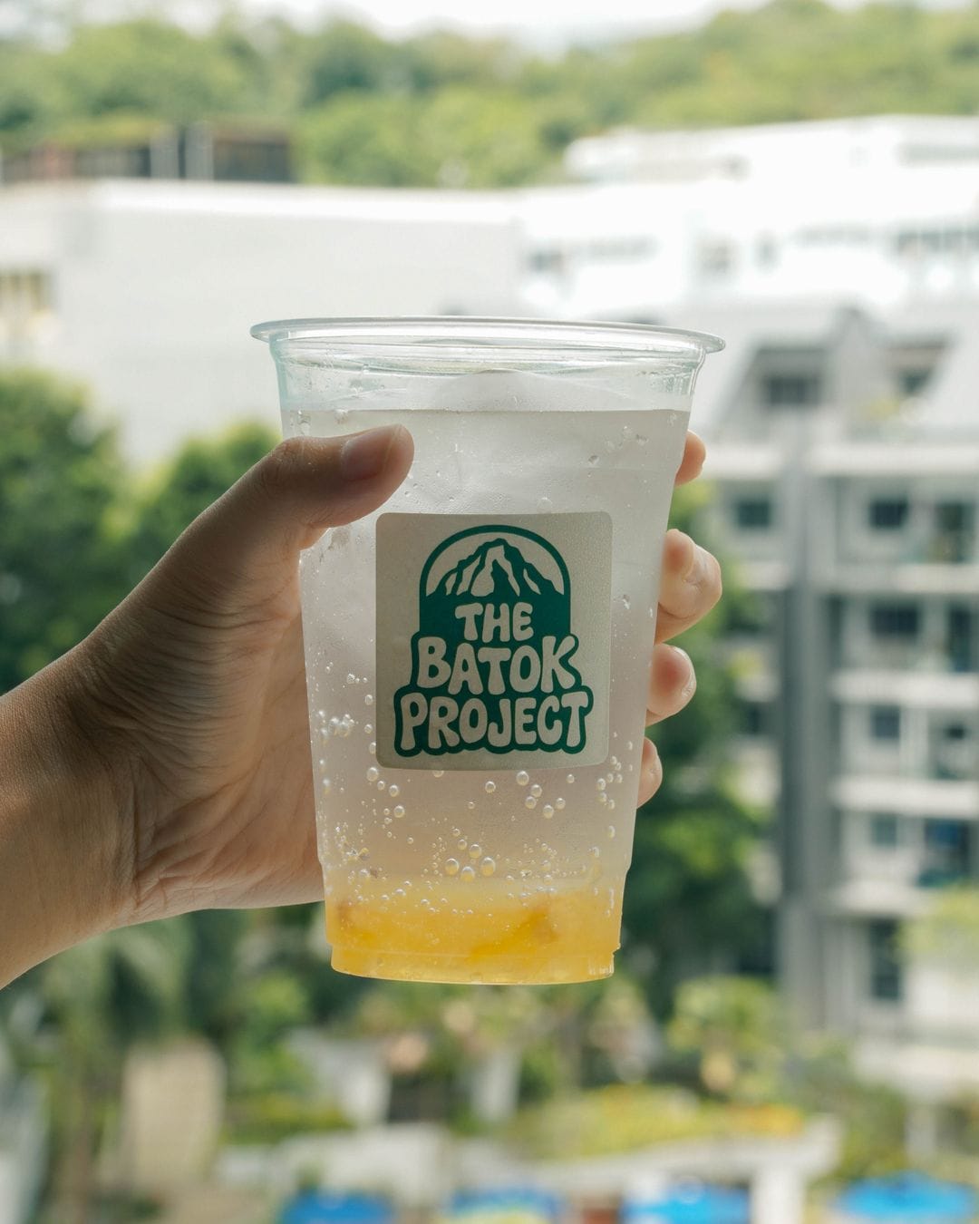 The Batok Project (Home Based) photo 7