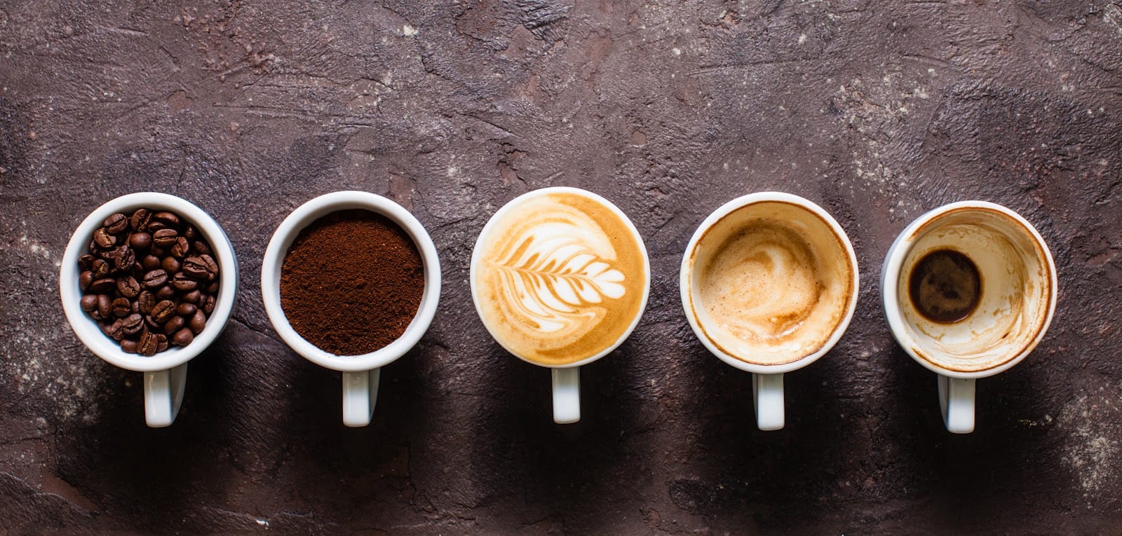 The Cozy Cup