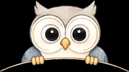 Blue Owl Café photo 4