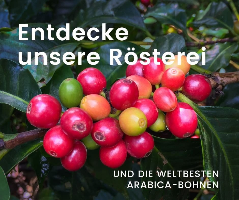 2Beans Kaffeerösterei photo 9