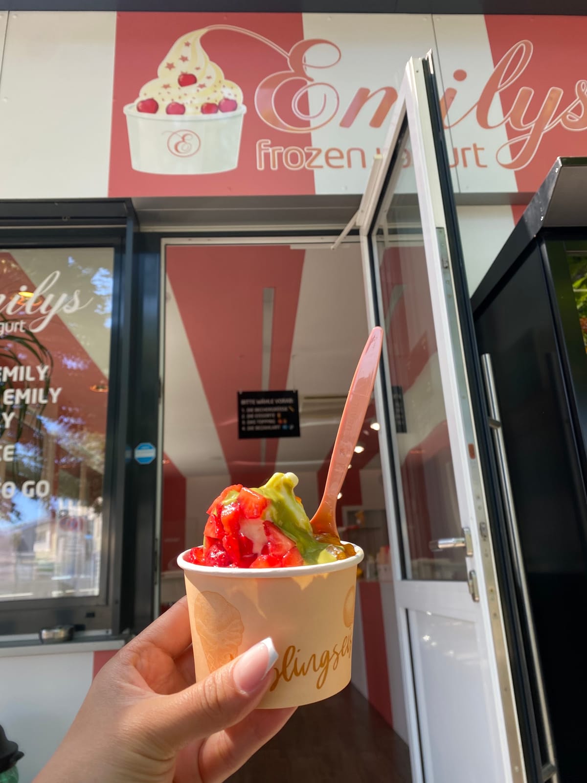 Emilys Frozen Yogurt Wiener Neustadt