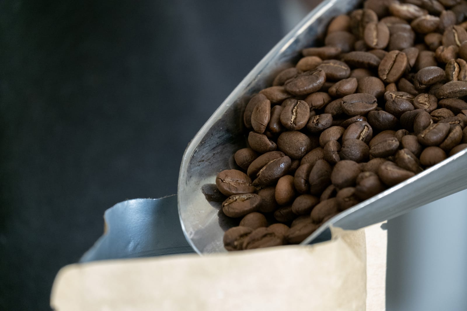 The 18 Coffee Roasters photo 4