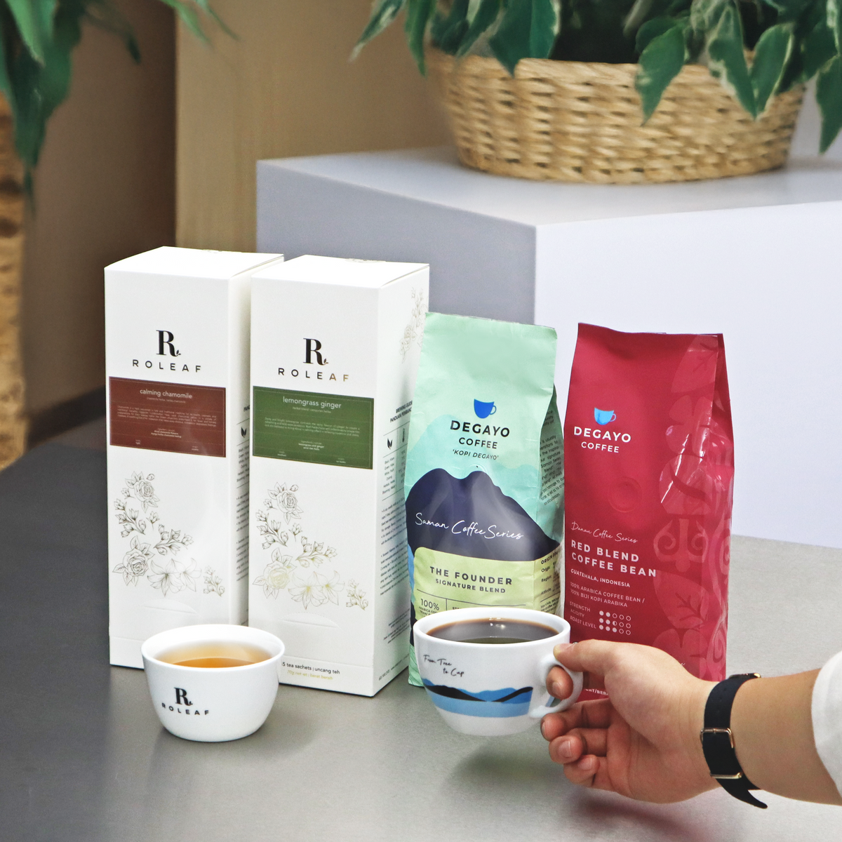 Global Coffee Resources photo 8