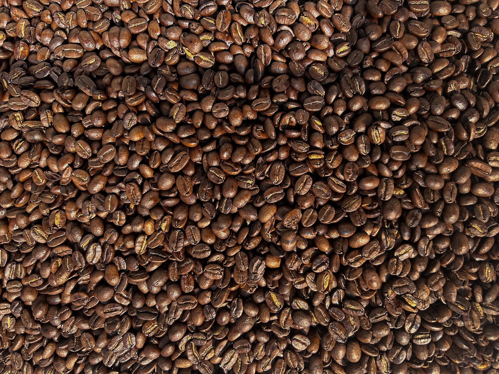 CAFÉ 1795