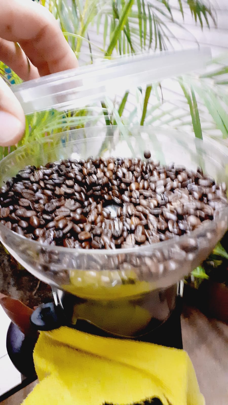 cafe saborizzimo