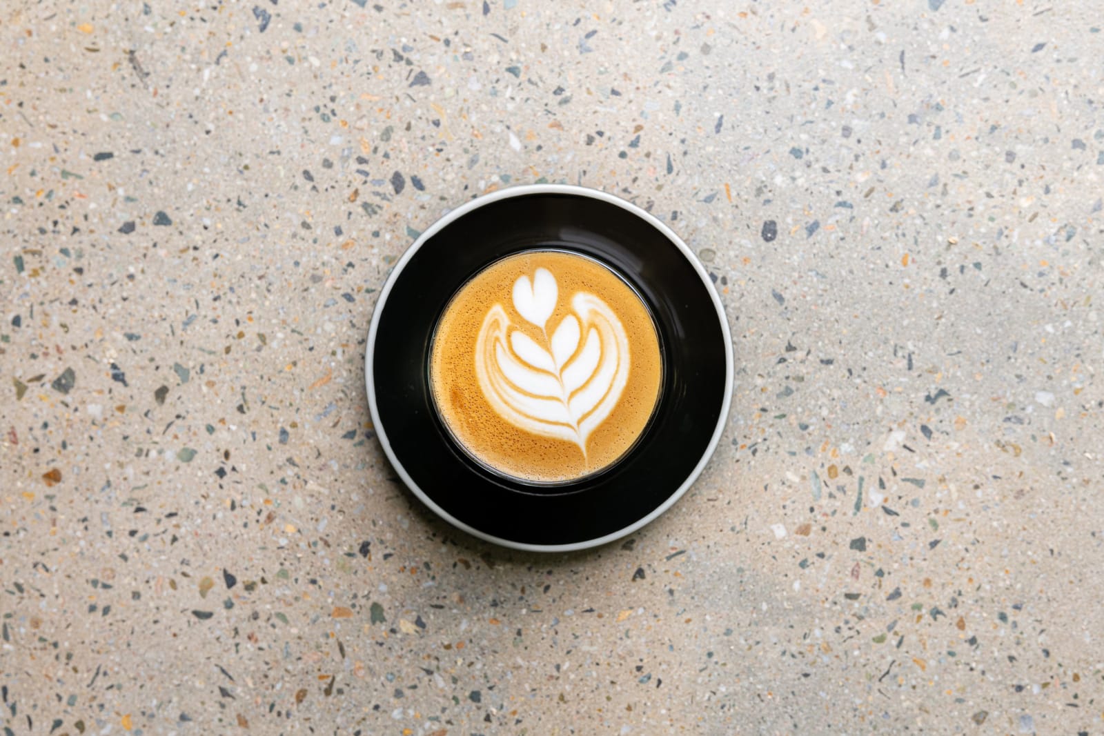 Common Coffee Surfers Paradise photo 6