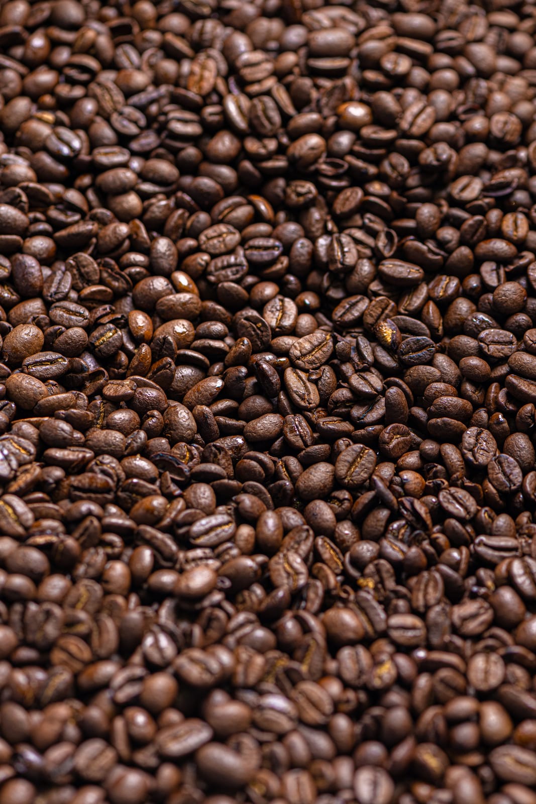 Common Coffee Surfers Paradise photo 5