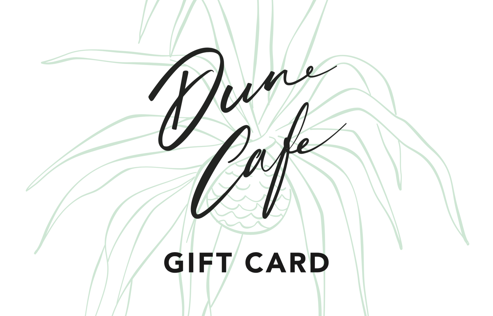 Dune Cafe, Currumbin photo 5