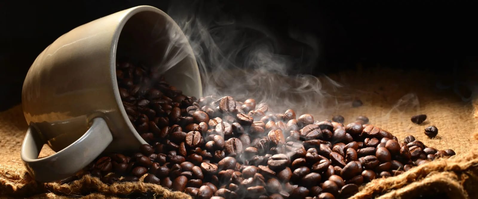 Paragon Blend photo 2
