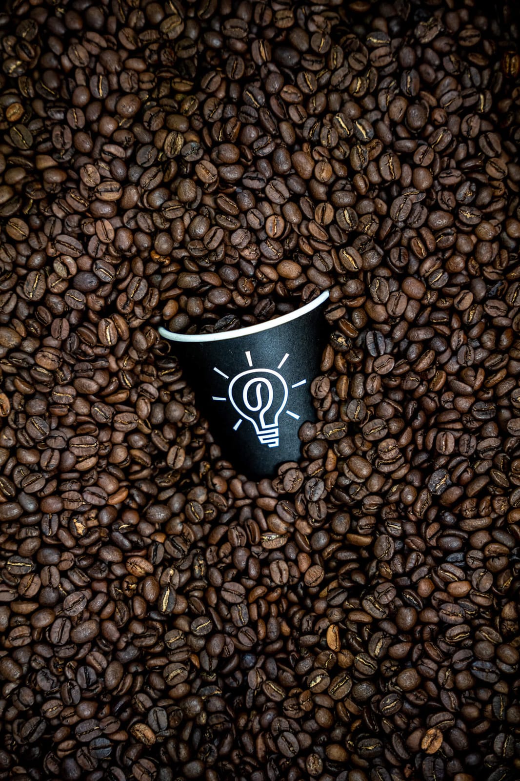 Darks Coffee Roasters - Darby Plaza photo 2