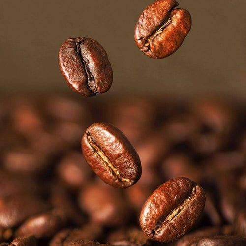 Sprocket Roasters photo 5