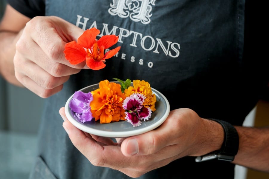 Hamptons Espresso photo 7