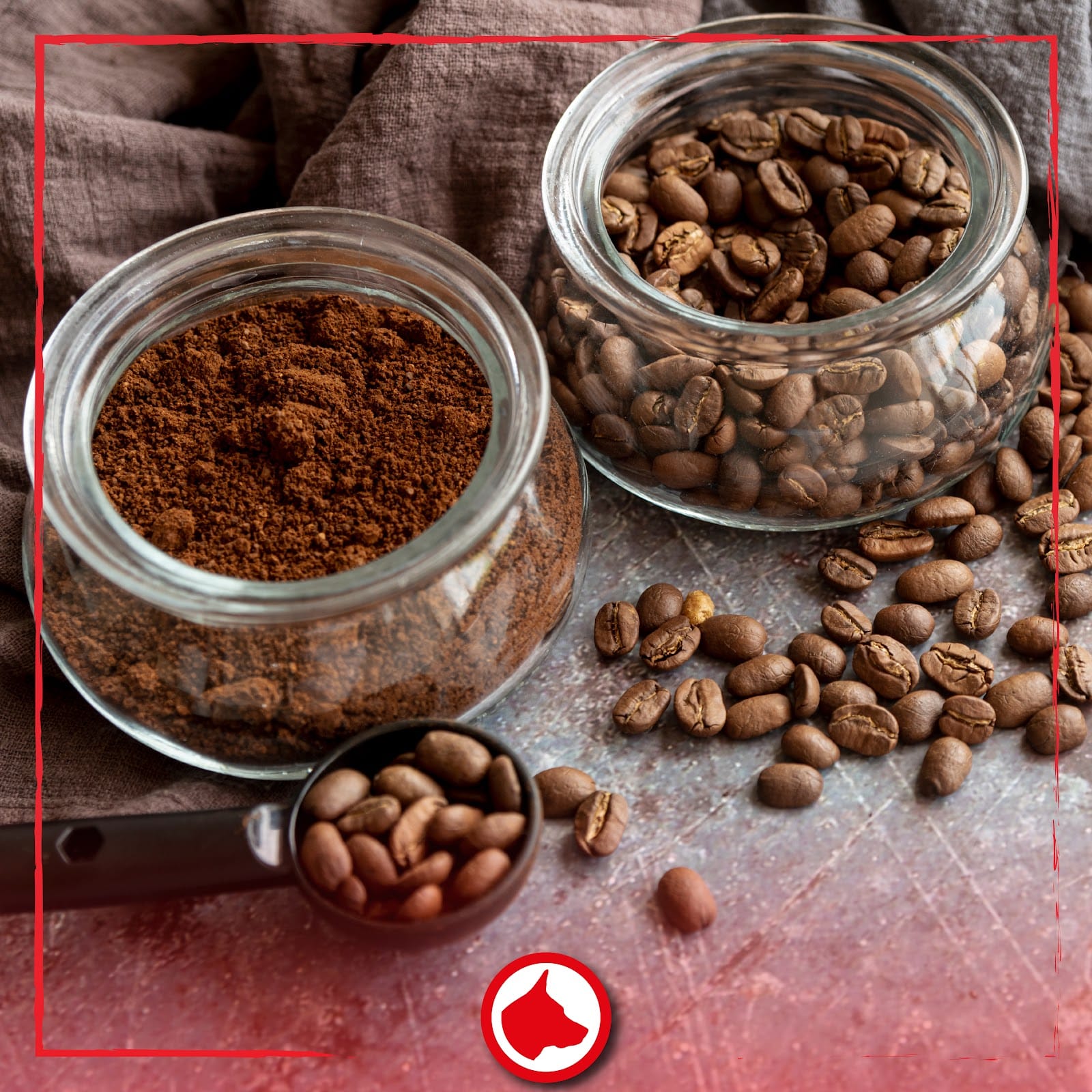 Red Dog Coffee - Specialty Coffee Beans & Coffee Brewing Equipment