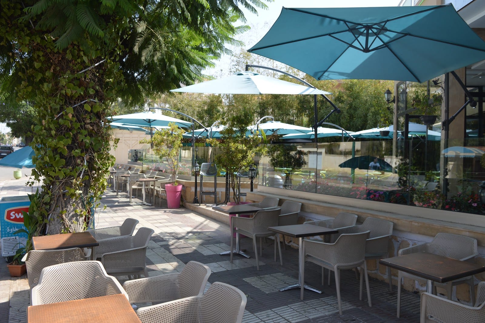 cafe salon de the GREEN VILLA