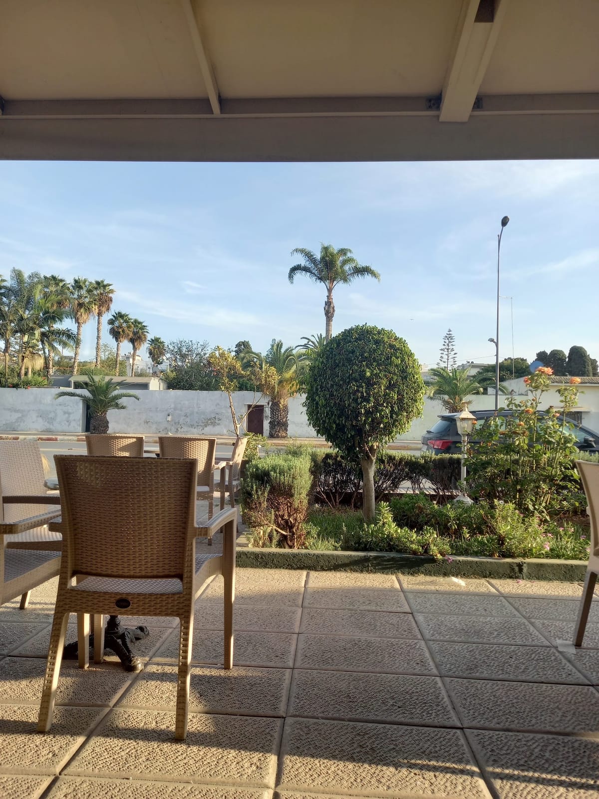 Willis Café
