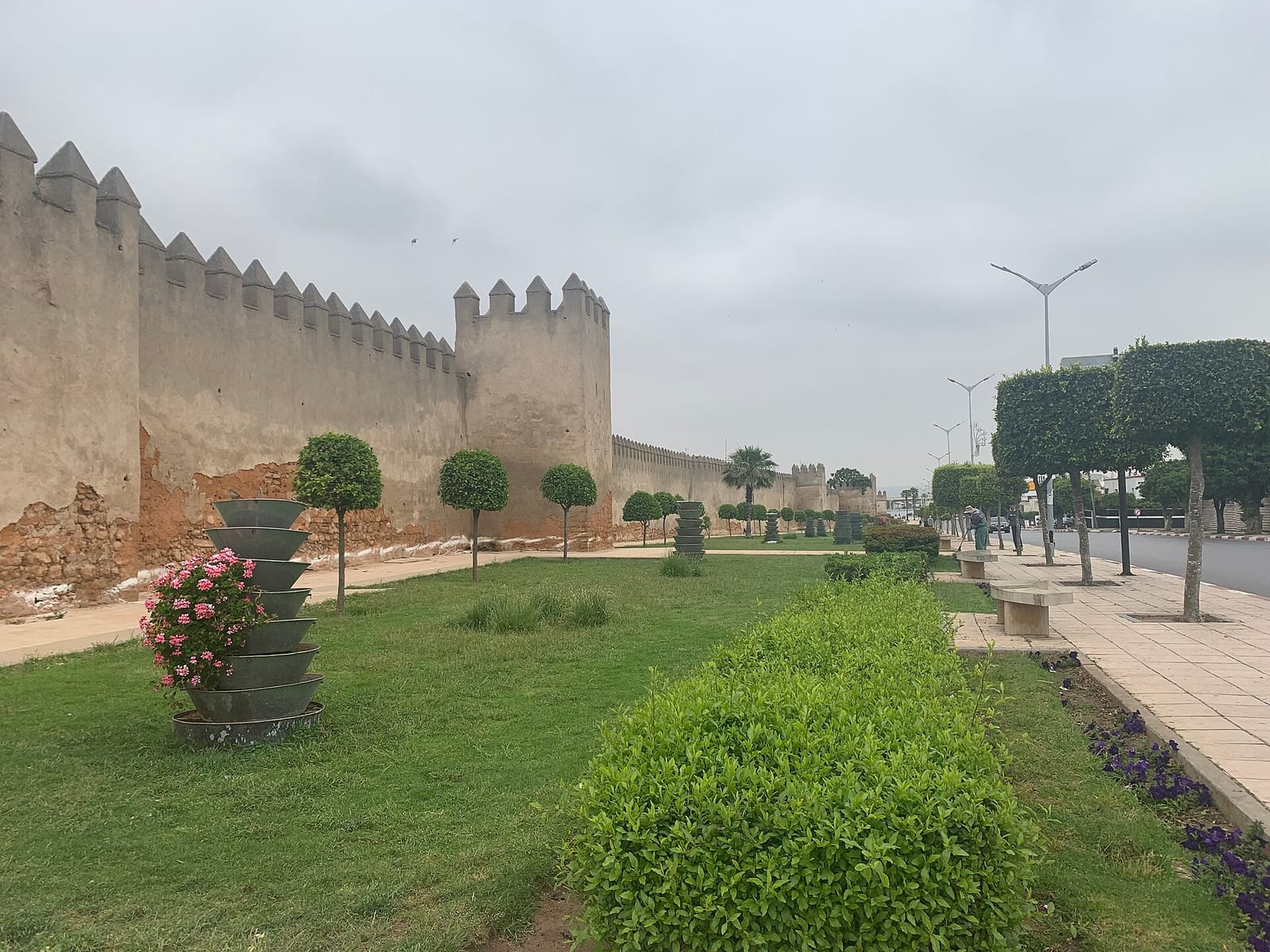 Café Al Maouid photo 2