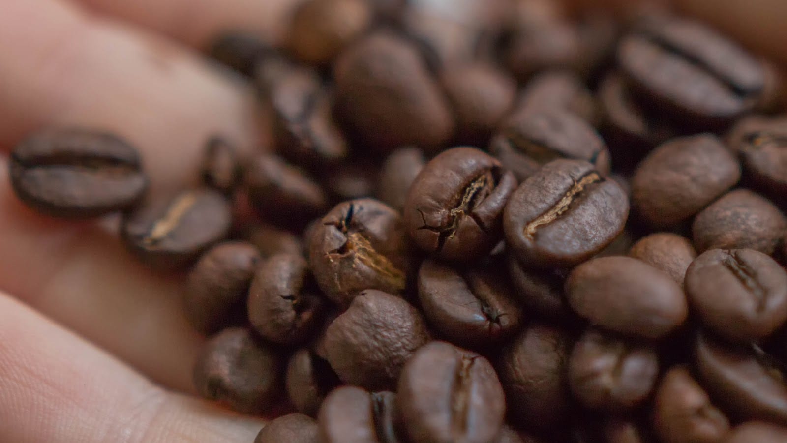 Aphrodite's Coffee Roasters