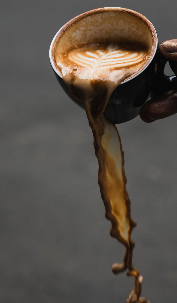 WillowBrew Coffee Merchants photo 3