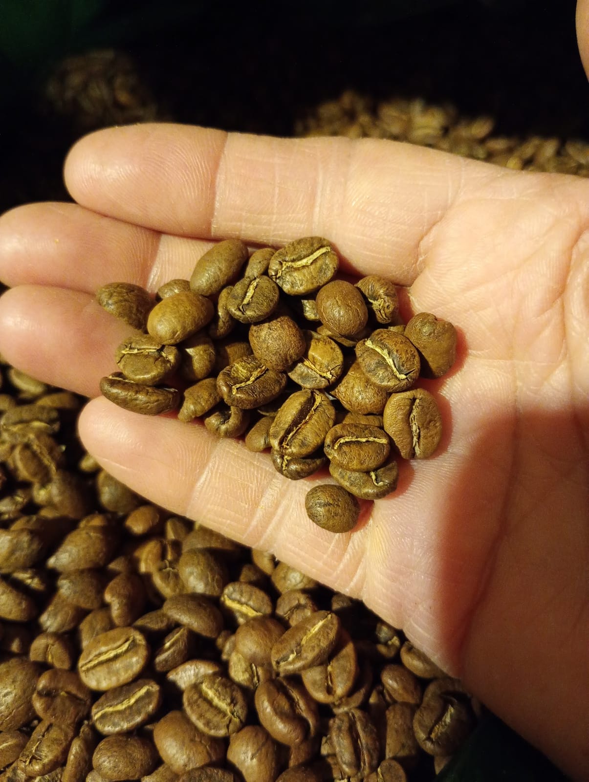 Cafe en grano y molido