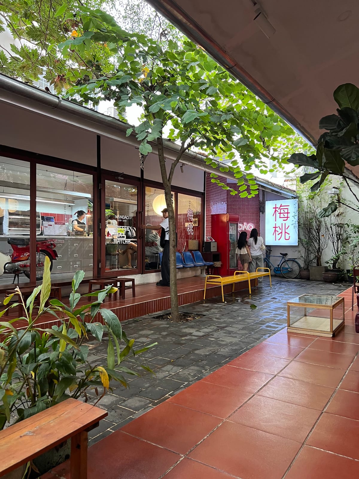Mận Đào