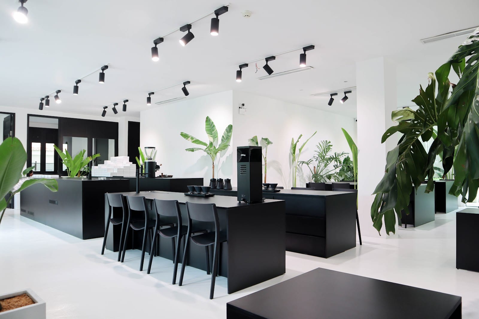 XLIII Specialty Coffee