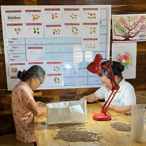 iForest Coffee Nha Trang (Nha Trang Specialty Coffee, Nha Trang Coffee Roastery, Matcha, Tea, Juice, Smoothie) photo 8