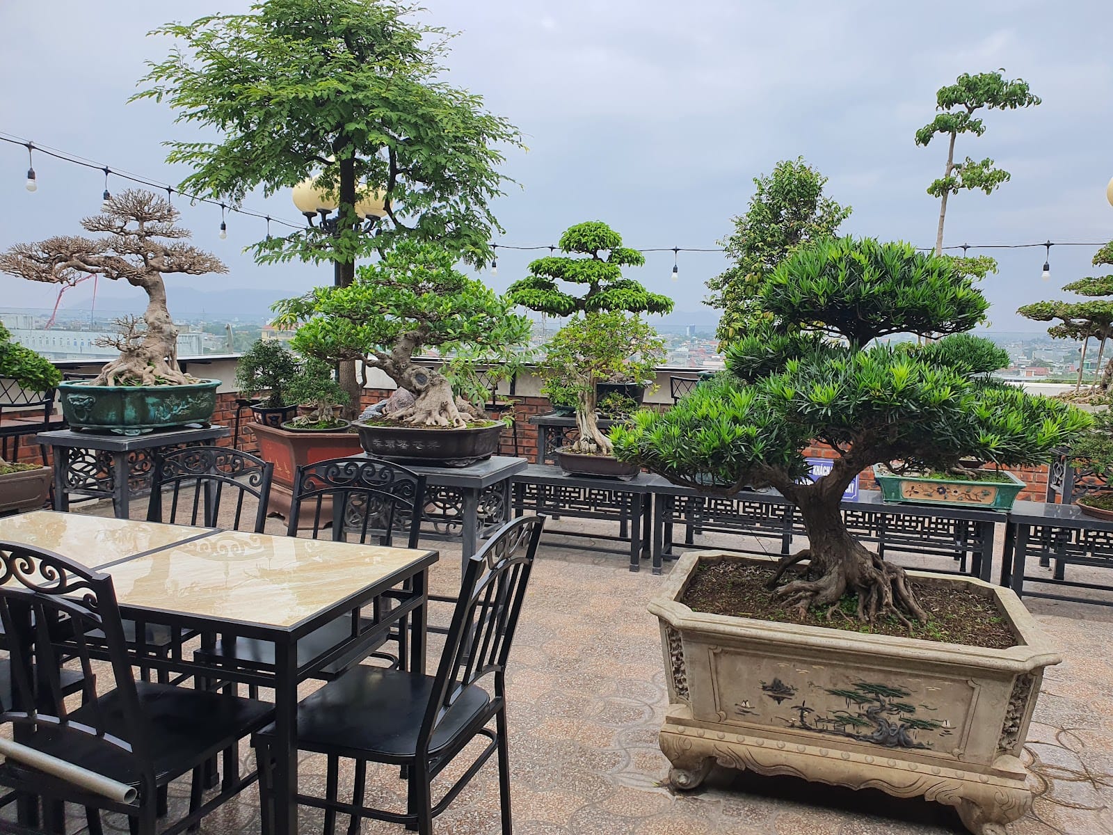 Chill rooftop cafe