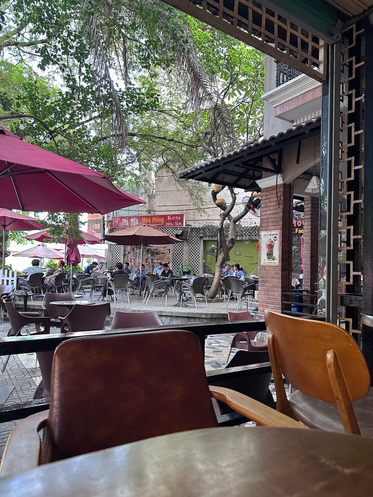 Cafes Roses