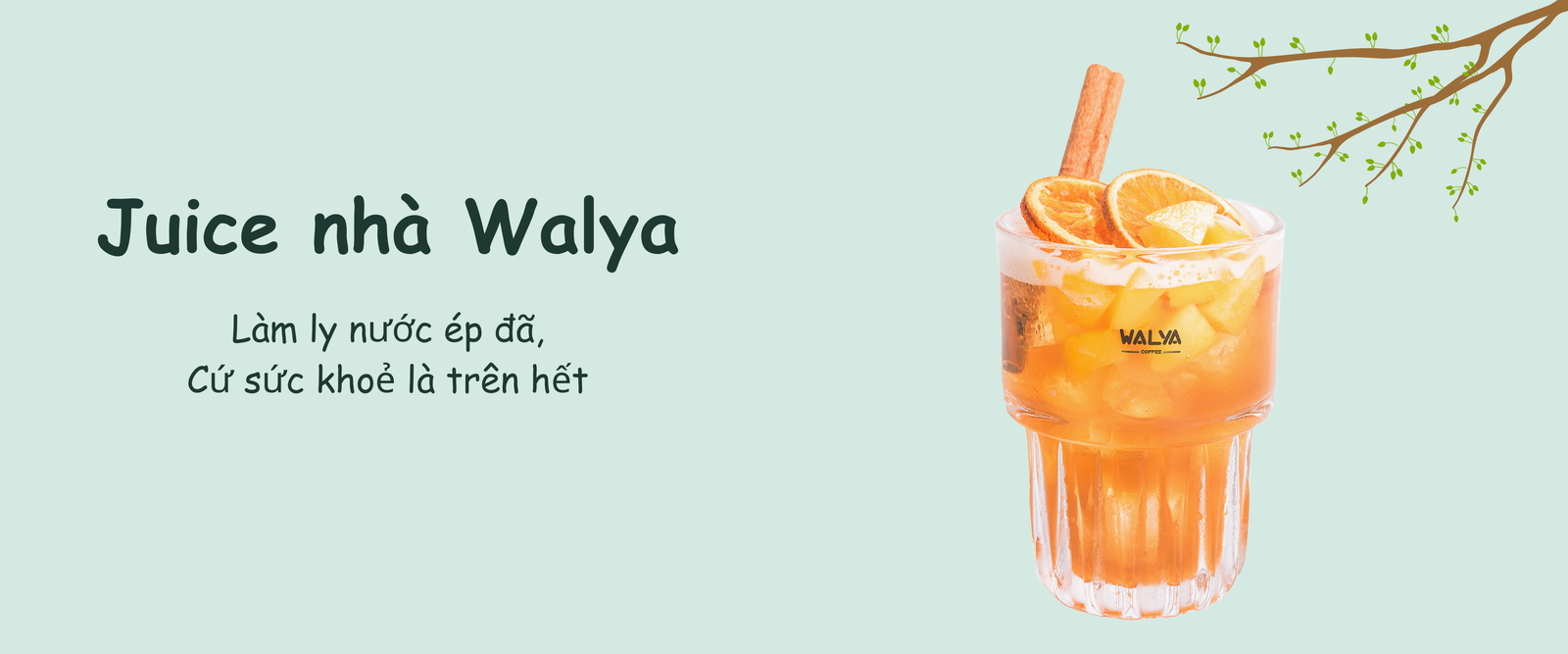 Walya Eco Green photo 7