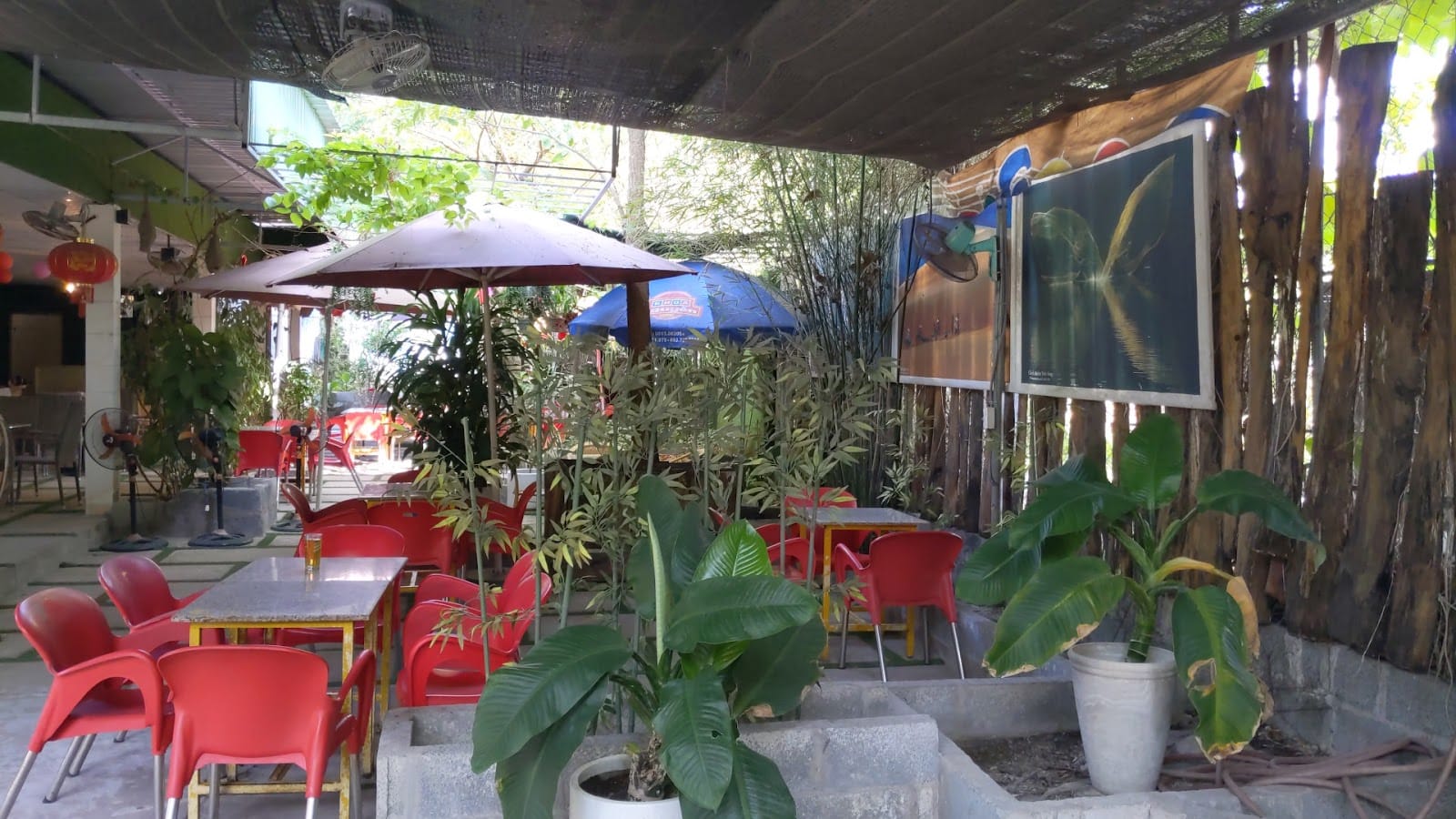 Cafe Googles