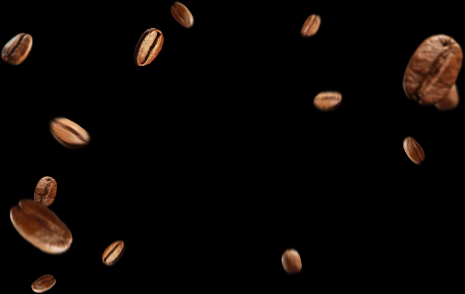 Zanya Coffee photo 7
