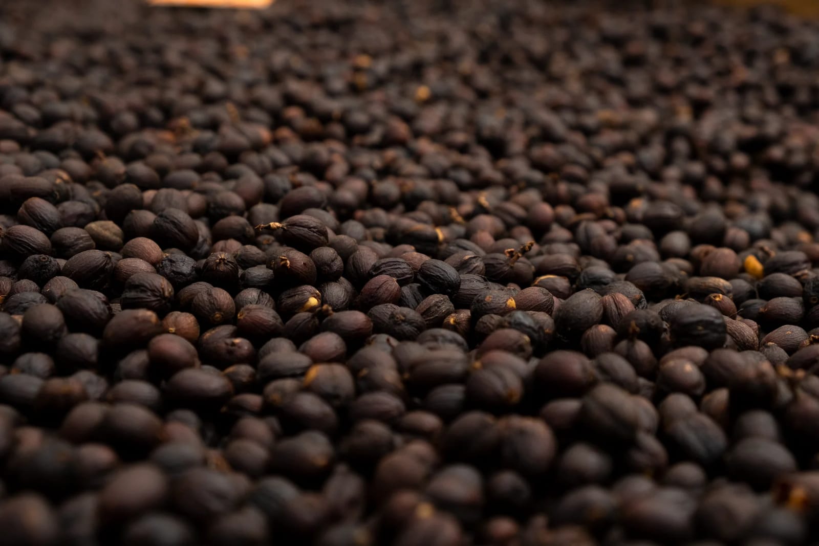 Zanya Coffee photo 2