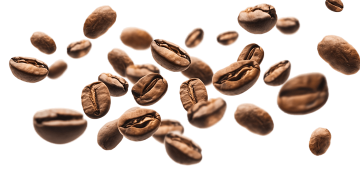 Zanya Coffee photo 6