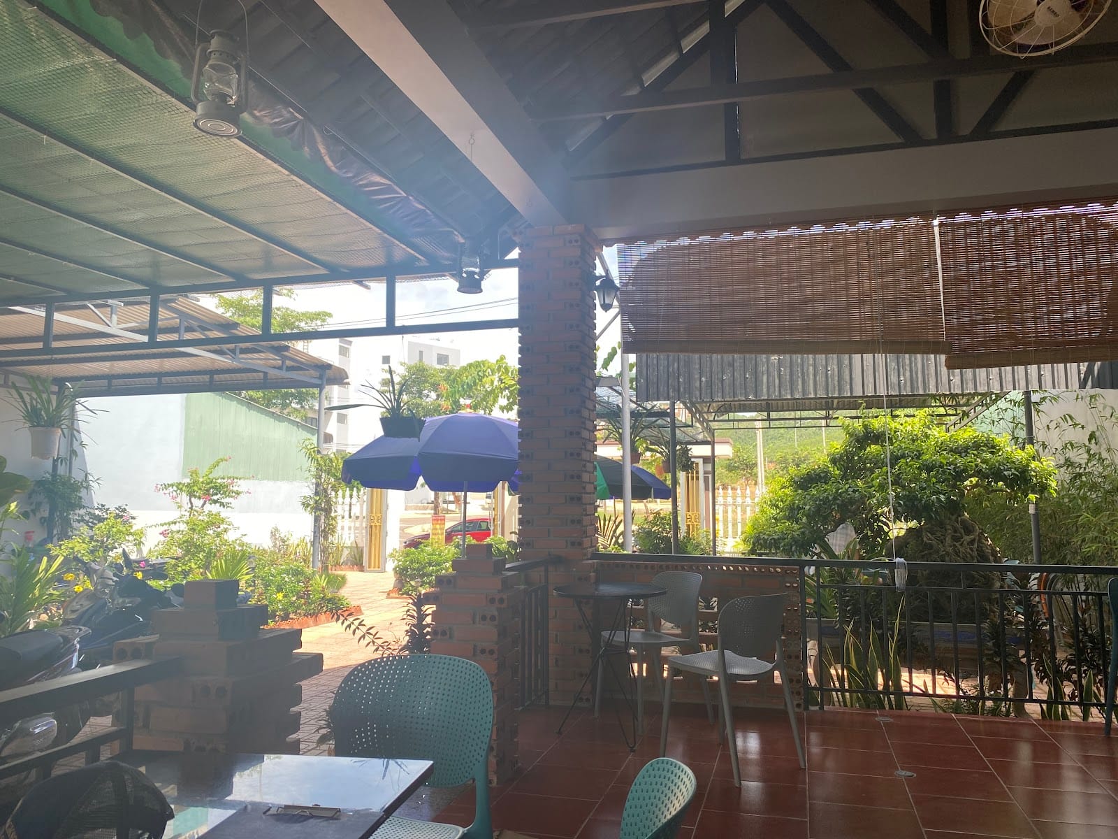 Gạo Coffee