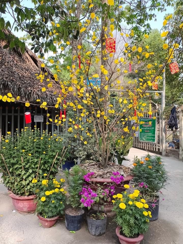 Cafe Vinh Xuân