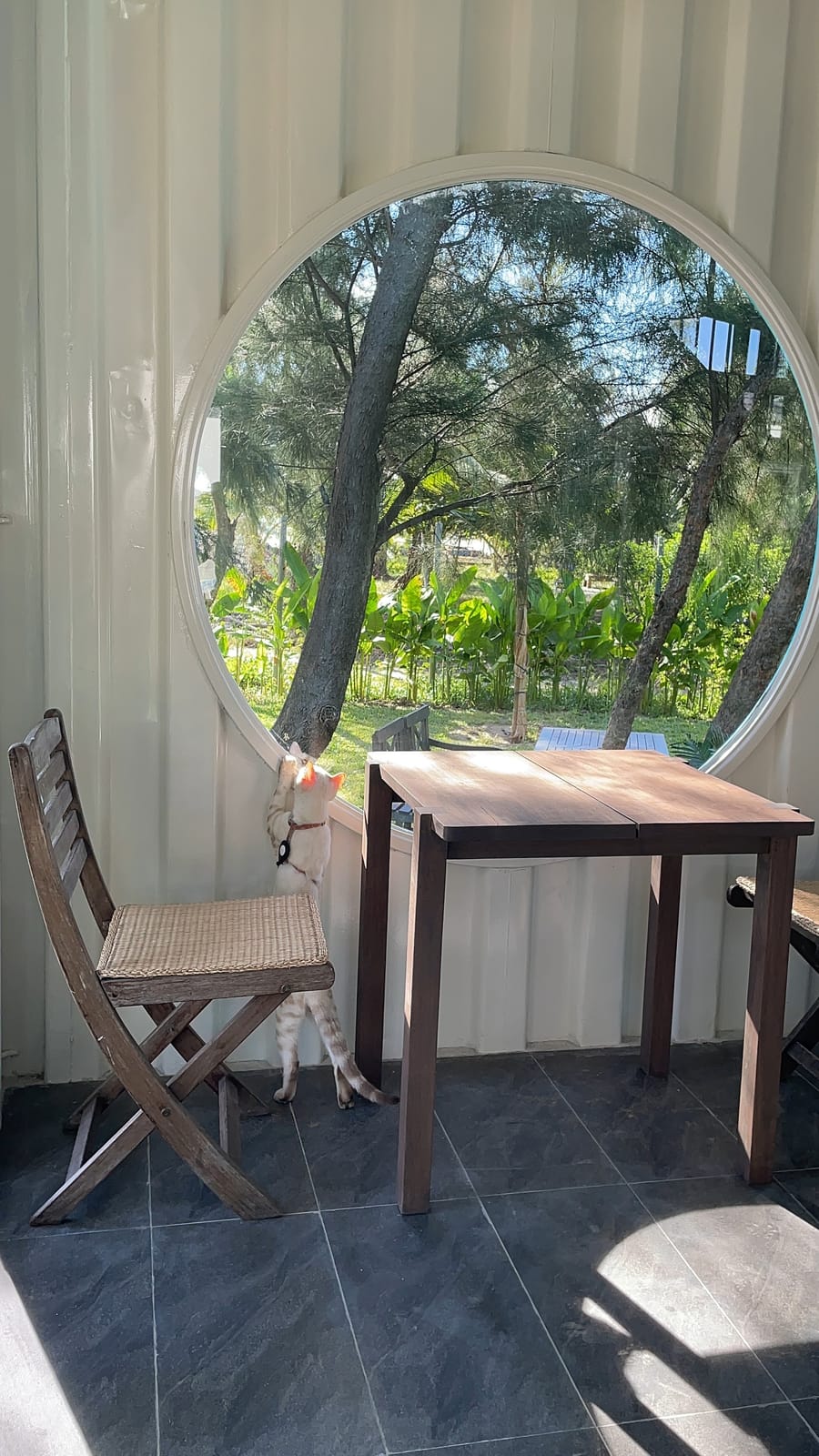 Hít Hà Cafe