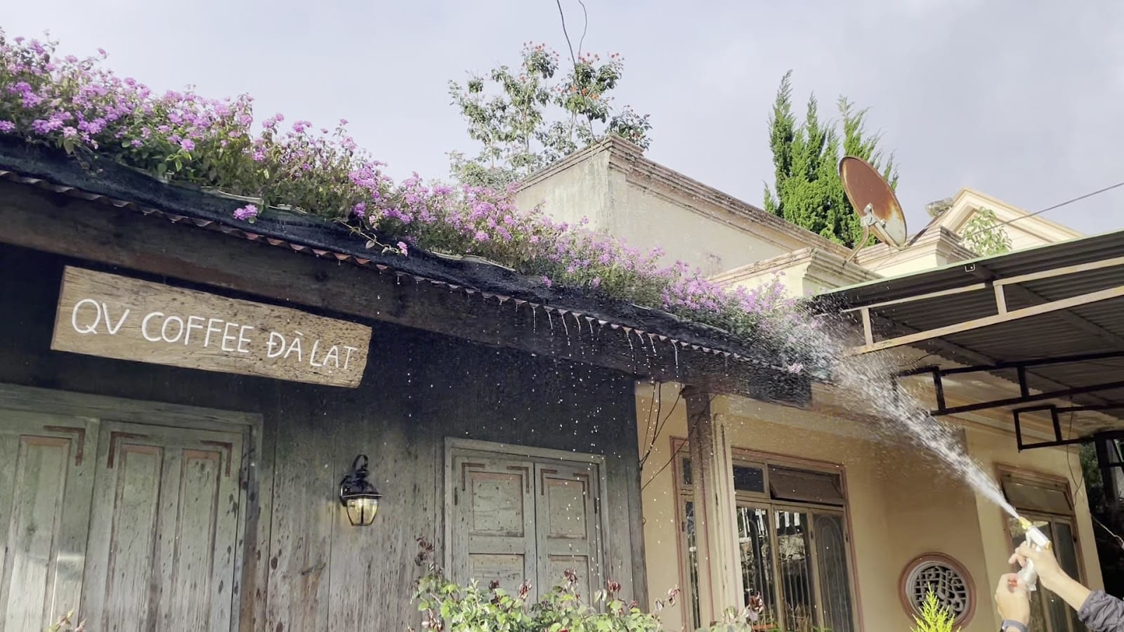 QV COFFEE (Please confirm your visit at least 2 days in advance -Vui lòng xác nhận hẹn ít nhất trước 2 ngày.)