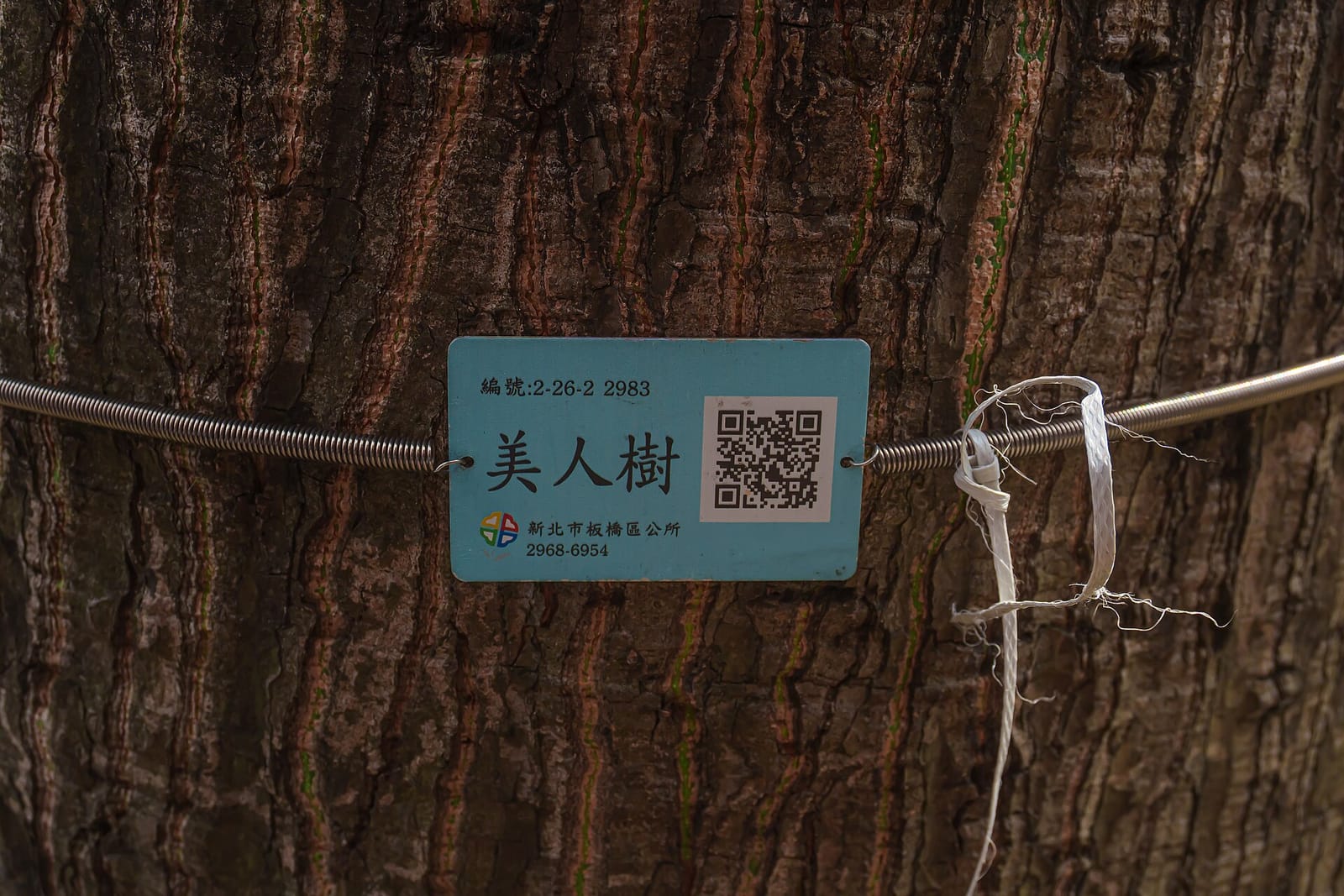 蚓珈琲(mimizu_coffeeshop) photo 2