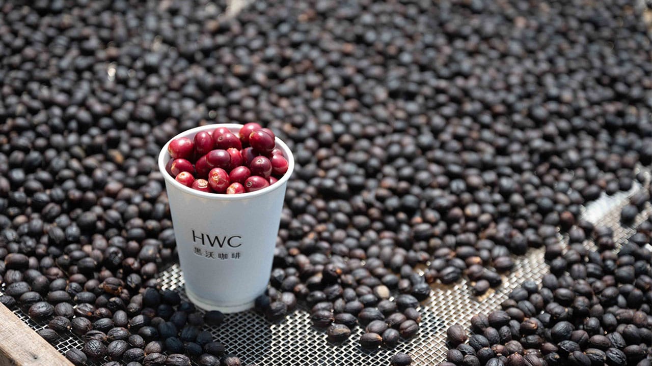 HWC 黑沃咖啡｜華山精品店 photo 2