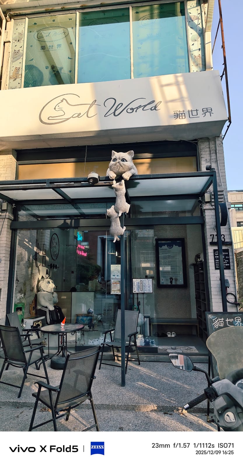 Cat world貓世界