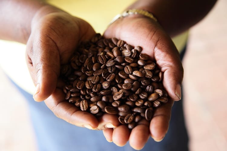 COFFEE LOVER's PLANET photo 5