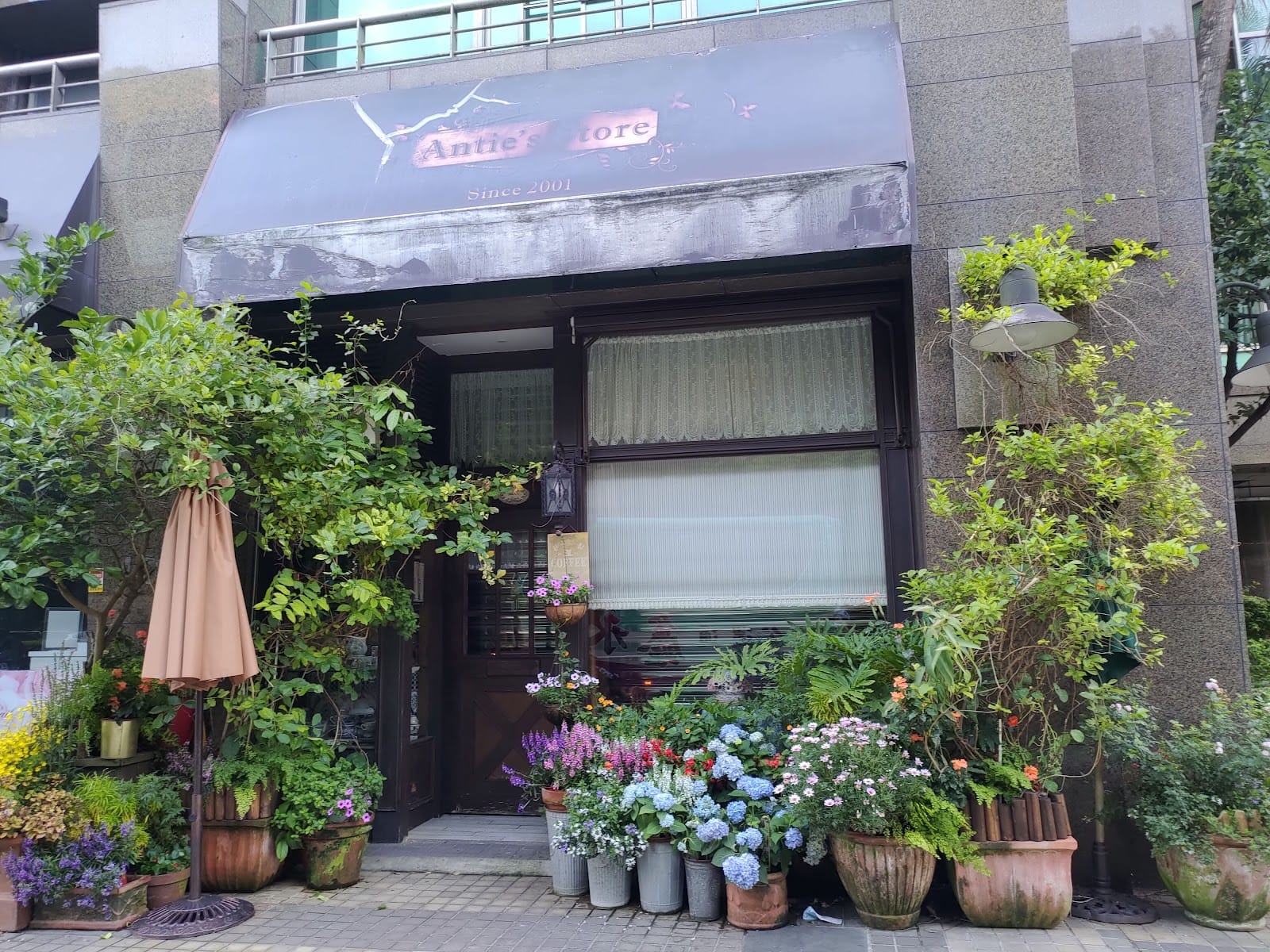 aunt store cafe