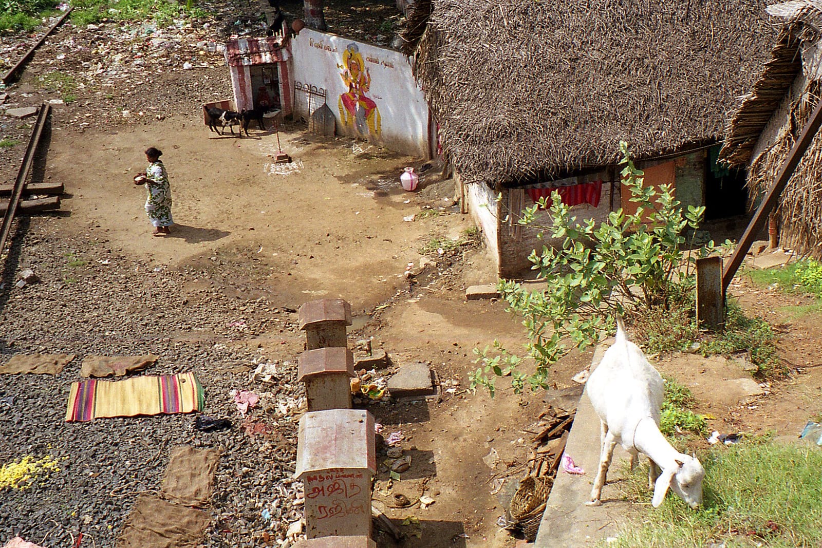 The chennai coffee house photo 2